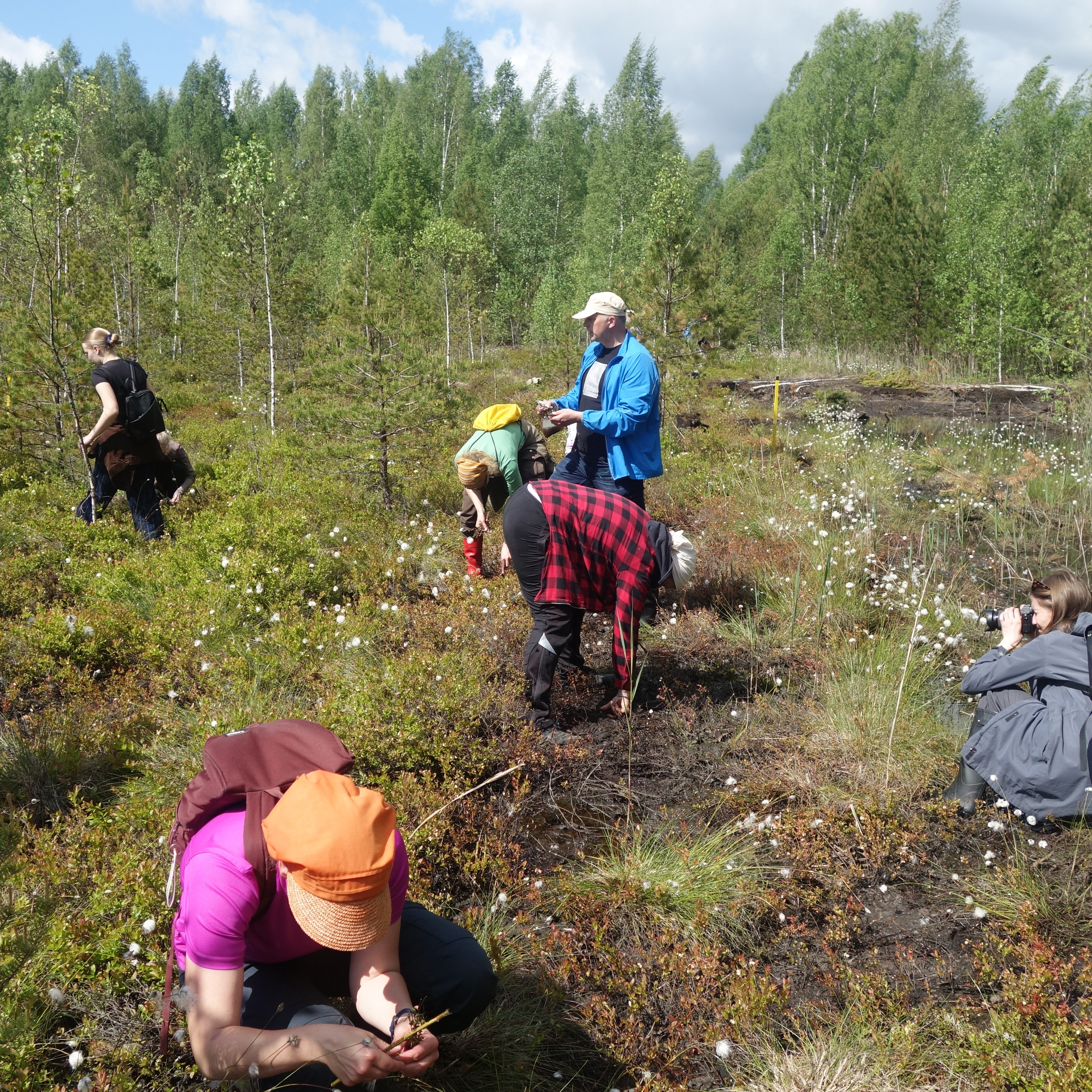 Restored wetland landscape