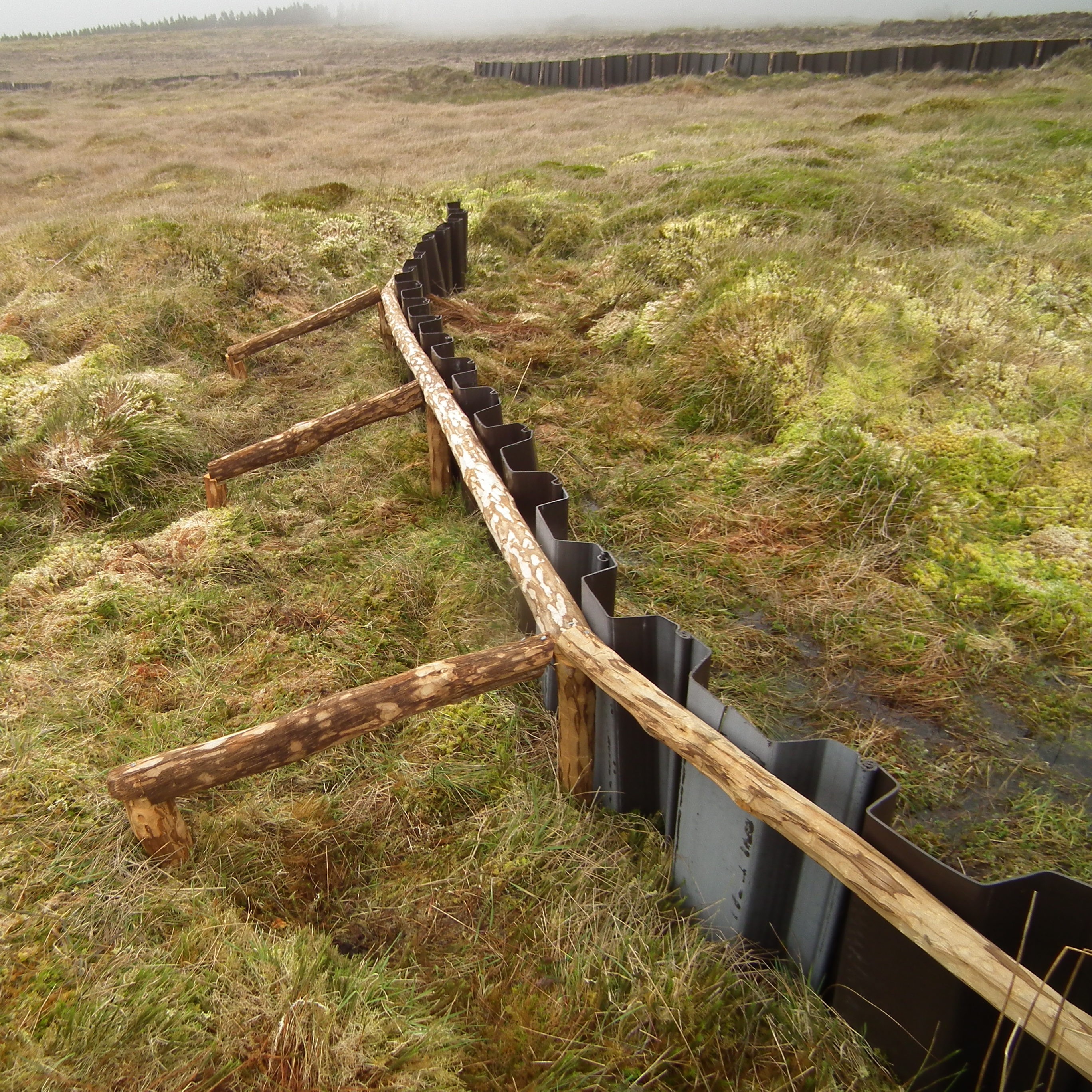 Restoration work in the field