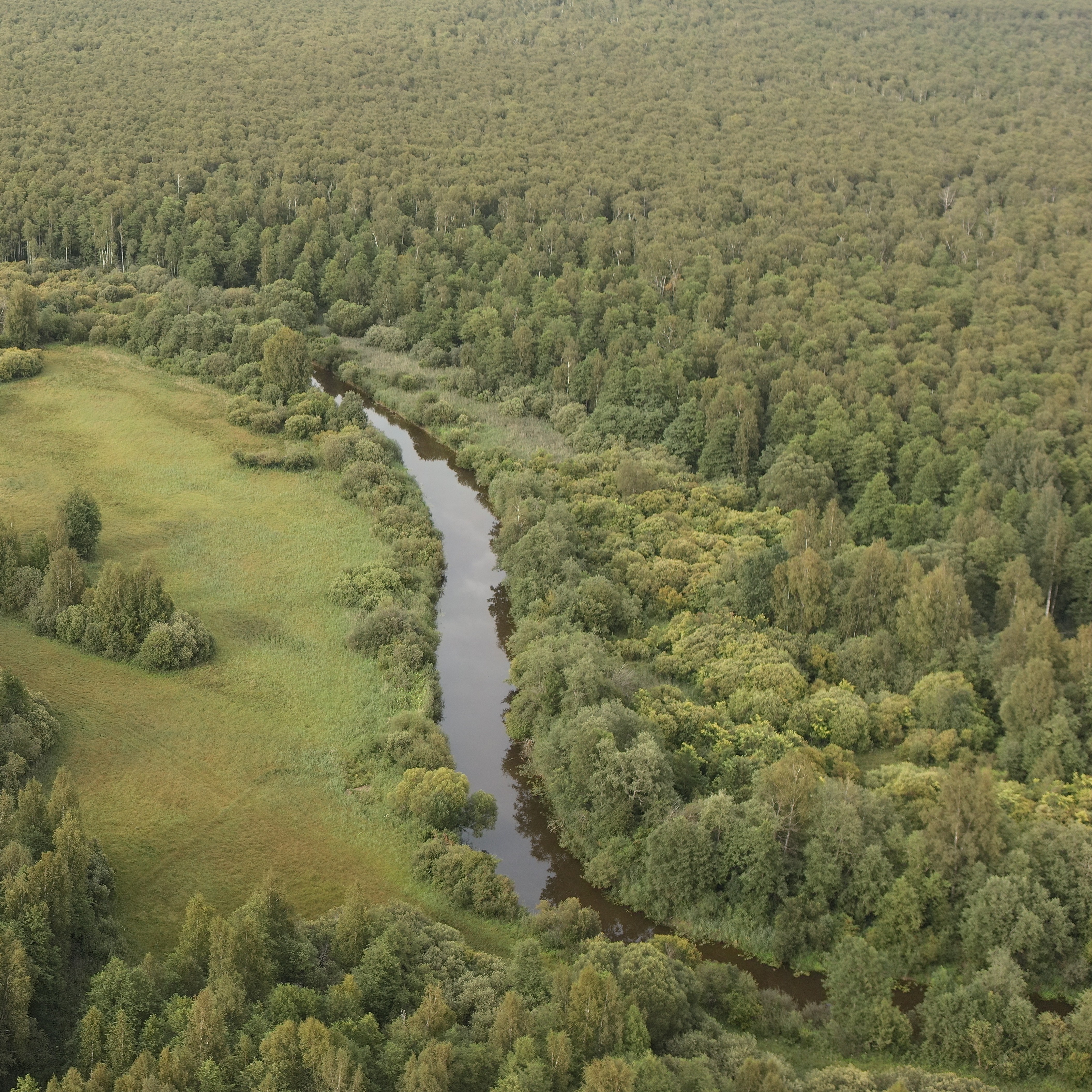 Alam-Pedja Nature Reserve