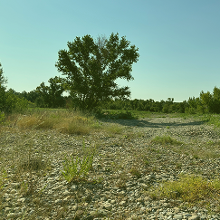 Alam-Pedja Nature Reserve