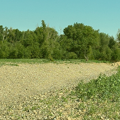 Restoration work in the field