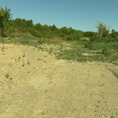 Alam-Pedja Nature Reserve