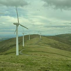 Restoration work in the field