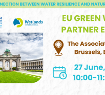 SpongeBoost partners discussing the link between water resilience and biodiversity preservation at an EU Green Week event