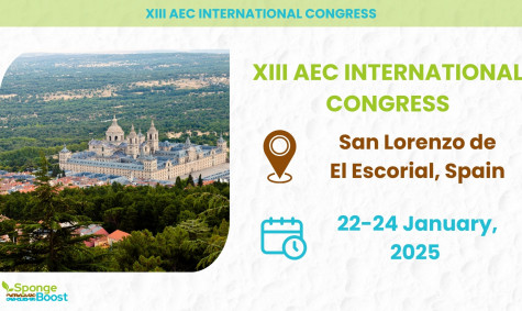 SpongeBoost parters from CIREF attended the XIII AEC International Congress