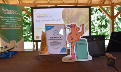 The first “SpongeBooster of the Year” award celebrates efforts in wetland restoration