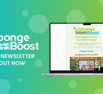 SpongeBoost’s third newsletter is here