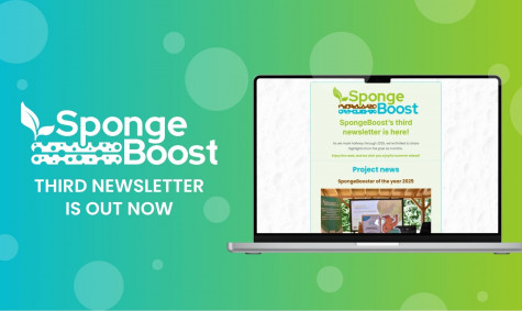 SpongeBoost’s third newsletter is here