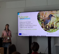 SpongeBoost presented at the 2th INTECOL Wetlands Conference