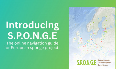 Introducing S.P.O.N.G.E – the online navigation guide for European sponge projects