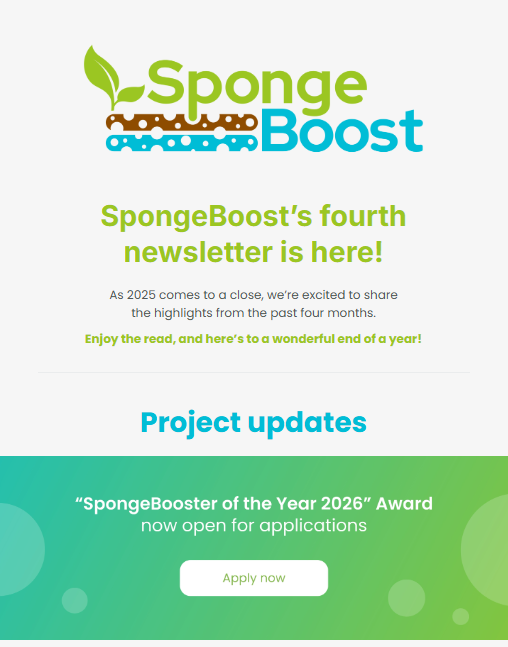 SpongeBoost Newsletter, October 2025 newsletter cover