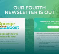 The fourth SpongeBoost newsletter is out now