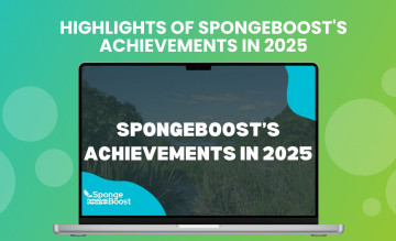 Highlights of SpongeBoost's achievements in 2025