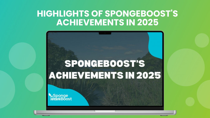 Highlights of SpongeBoost's achievements in 2025