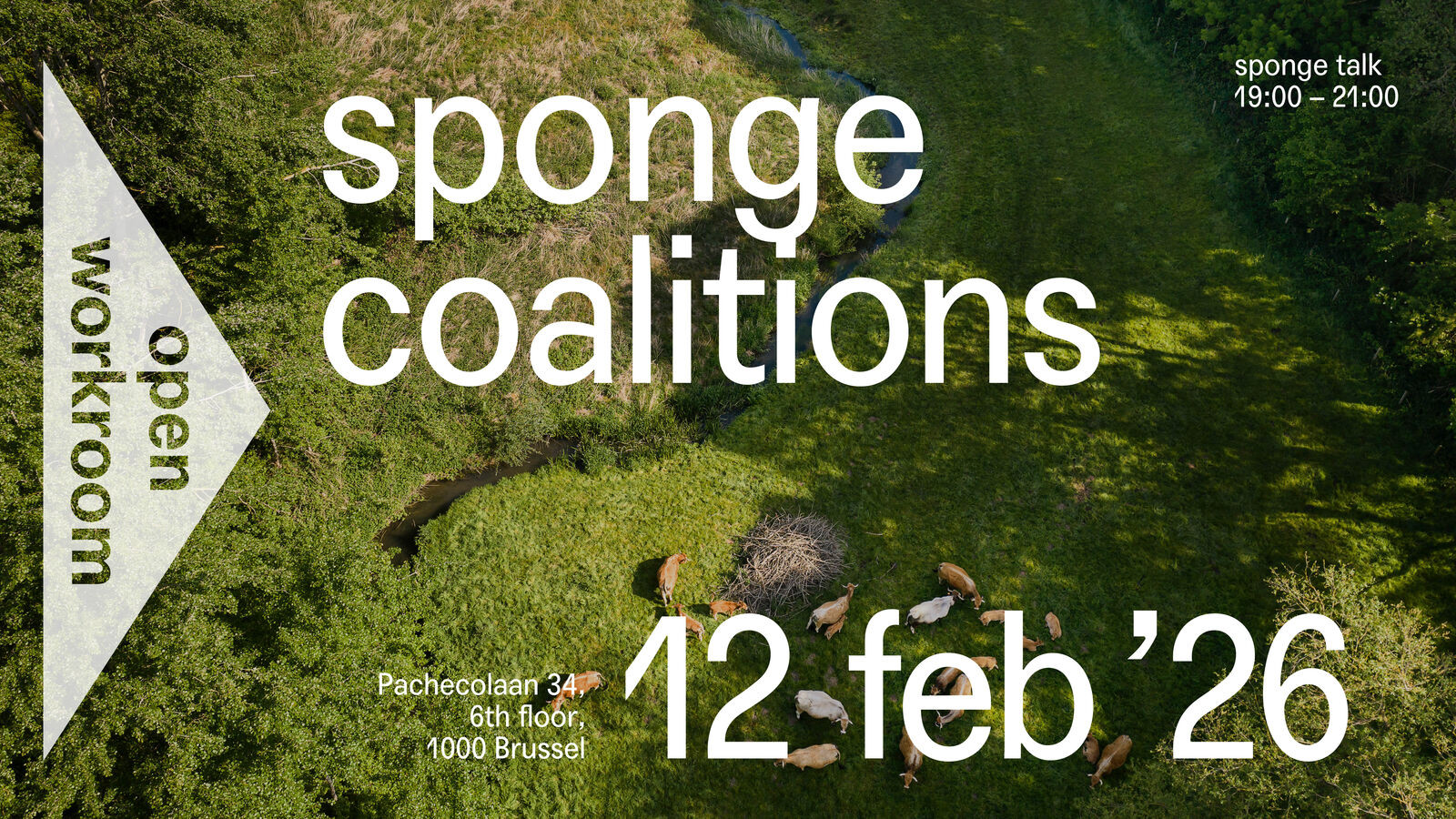 SPONGE TALK – Sponge Coalitions