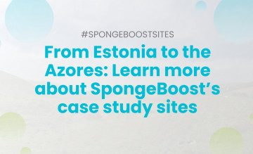 From Estonia to the Azores: Learn more about SpongeBoost’s case study sites