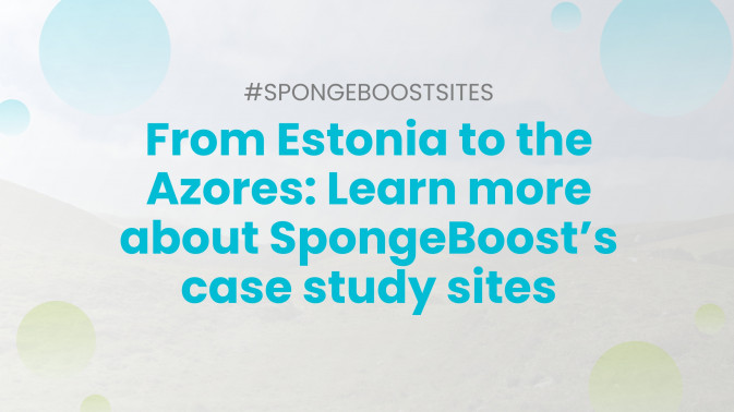 From Estonia to the Azores: Learn more about SpongeBoost’s case study sites