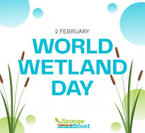 Celebrating World Wetlands Day