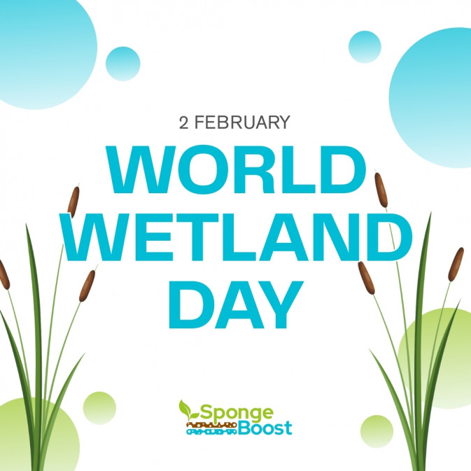 Celebrating World Wetlands Day