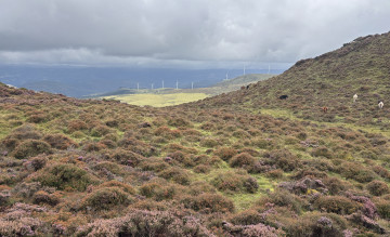 Terras do Miño–Serra do Xistral joins the Global Flagship Landscape network