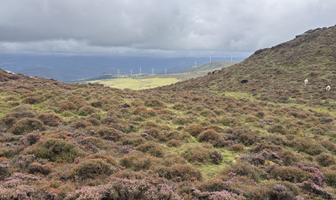Terras do Miño–Serra do Xistral joins the Global Flagship Landscape network