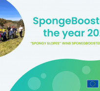 Community-driven restoration in Spain recognised as best-practice example