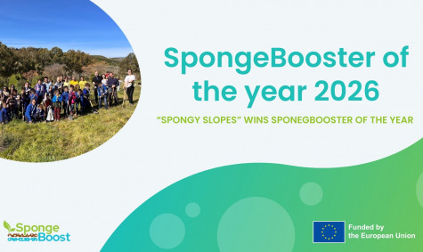 Community-driven restoration in Spain recognised as best-practice example