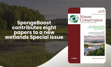 SpongeBoost contributes eight papers to a new wetlands Special Issue