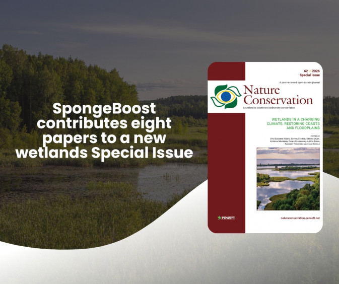 SpongeBoost contributes eight papers to a new wetlands Special Issue