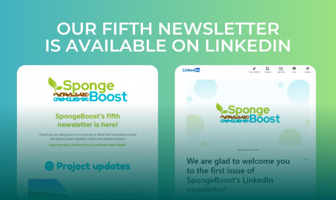 The new edition of SpongeBoost's newsletter is available on LinkedIn