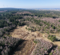 Schneifel, Germany: Restoration implementation underway