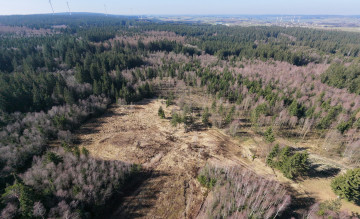 Schneifel, Germany: Restoration implementation underway