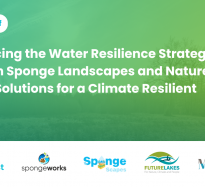 New press release: Policy brief on nature-based solutions published in collaboration between five EU-funded projects