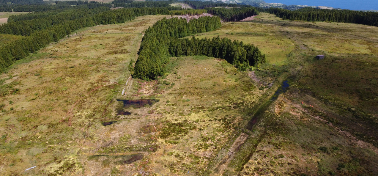Graminhais Plateau
