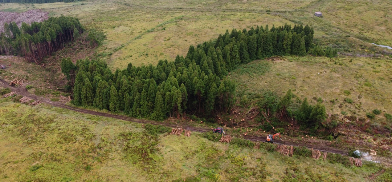 Graminhais Plateau