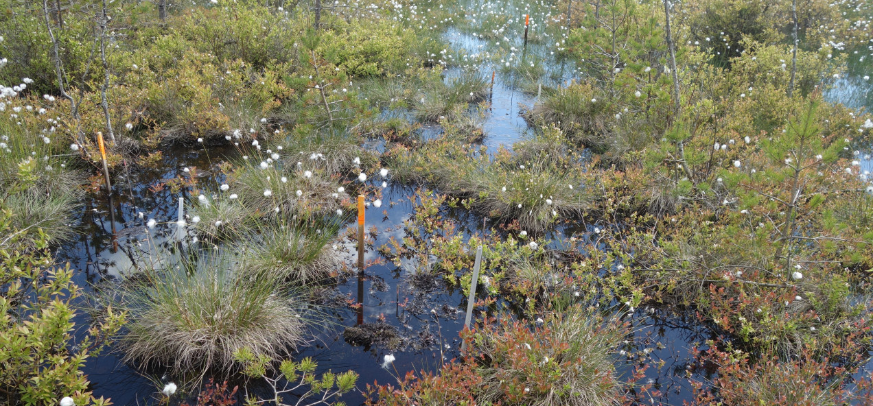 Pärnu Catchment