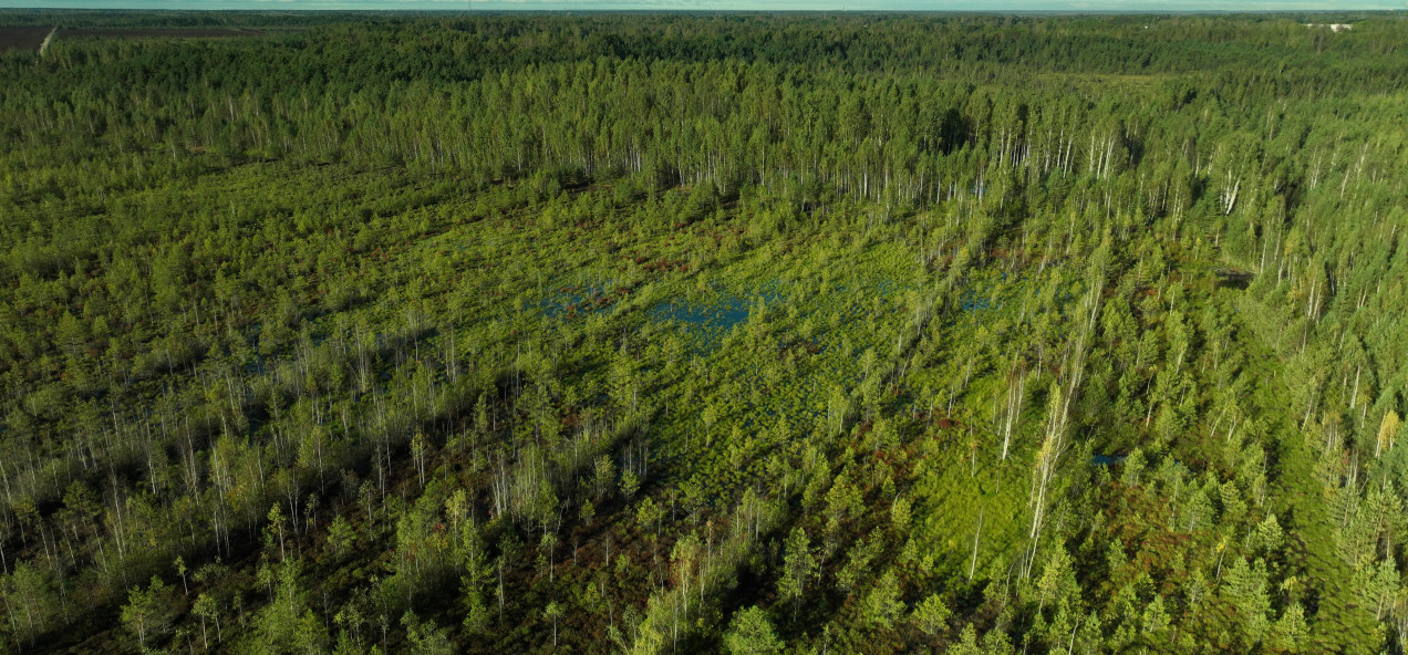 Pärnu Catchment