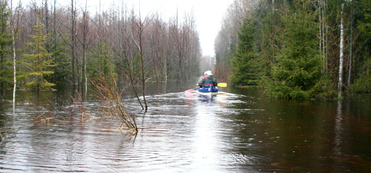 Pärnu Catchment