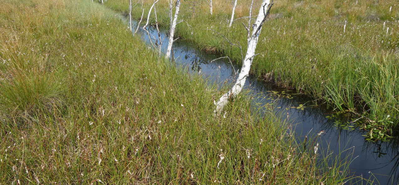 Pärnu Catchment
