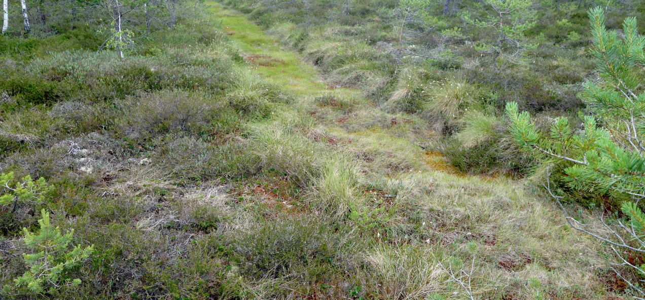 Pärnu Catchment
