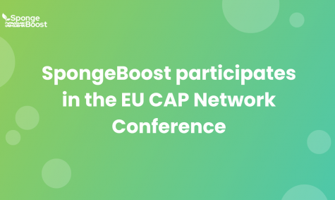 SpongeBoost as part of the EU CAP Network Conference on water resilience