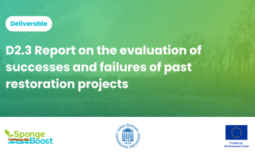 Results from SpongeBoost’s analysis on nature-based water management strategies for landscape restoration