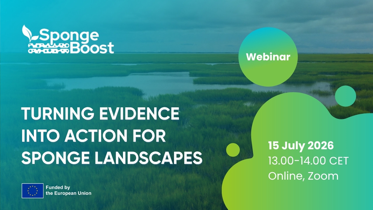 SpongeBoost webinar: Turning evidence into action for sponge landscapes