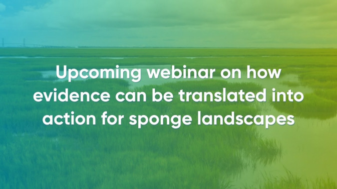 Upcoming webinar on how evidence can be translated into action for sponge landscapes