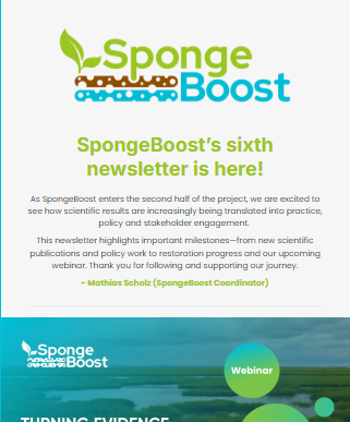 SpongeBoost Newsletter, June 2026 newsletter cover
