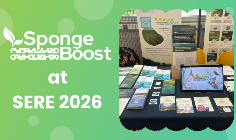 SpongeBoost at SERE2026