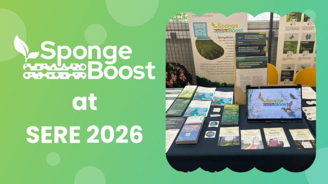 SpongeBoost at SERE2026