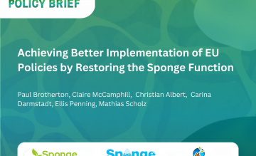 New policy brief outlines how EU policies can better support sponge restoration
