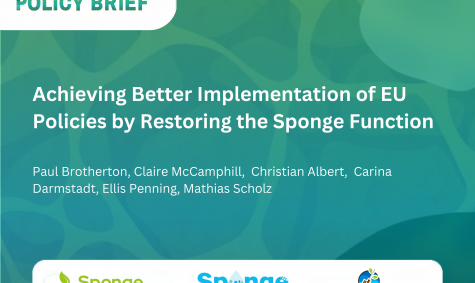 New policy brief outlines how EU policies can better support sponge restoration