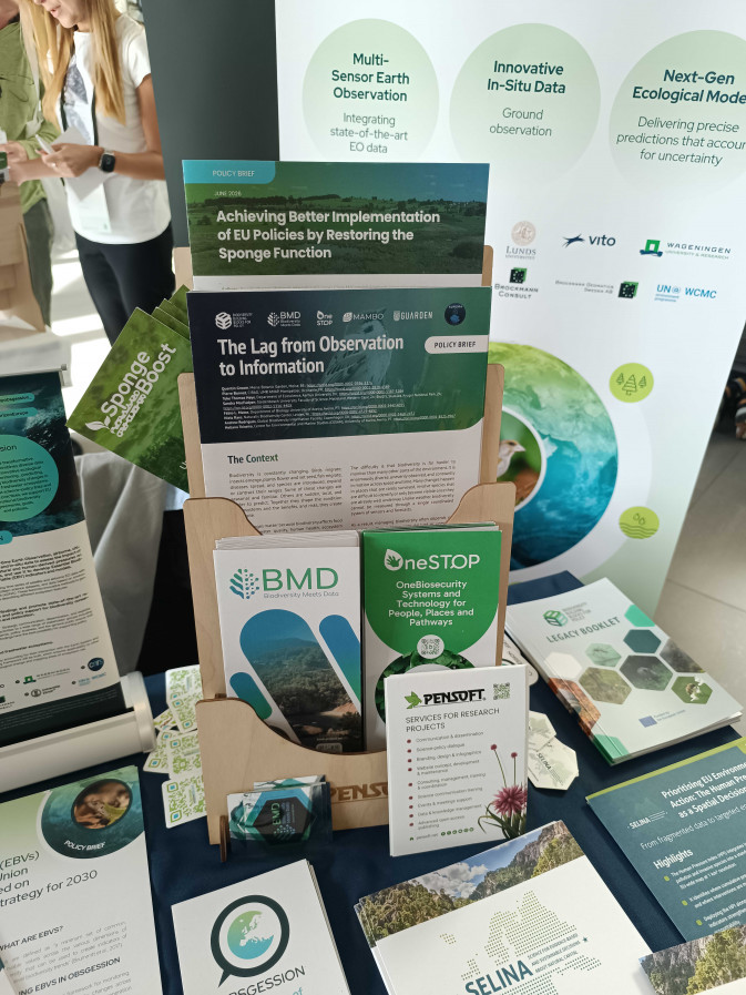 SpongeBoost at the GfÖ Annual Meeting 2026
